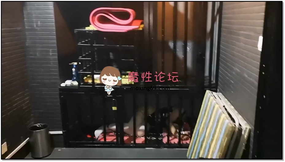 逍遥伯乐 全金属狂潮 豆蔻母马的金属镣铐牢笼驯马日常【1V 1G百度云】-魔性福利