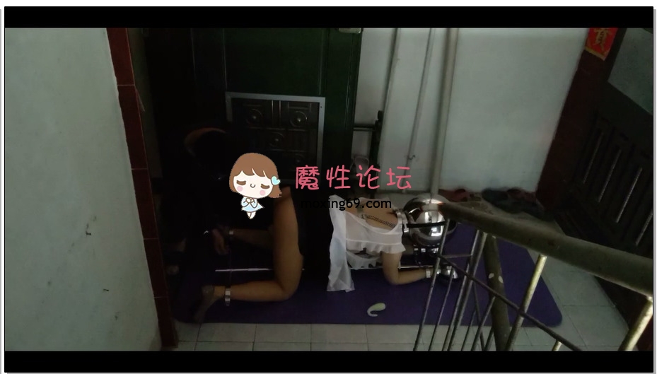 浅浅作品 惊险刺激的楼道k9架调教，震动棒强制高潮，没想到M的声音惊动楼下，赶紧…【1V 1G百度云】-魔性福利